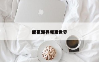 北京世界
鲜花港，北京世界
鲜花港在哪里