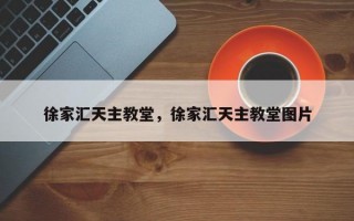 徐家汇天主教堂，徐家汇天主教堂图片