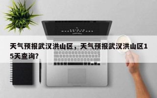 天气预报武汉洪山区，天气预报武汉洪山区15天查询？