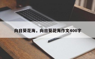 向日葵花海，向日葵花海作文400字