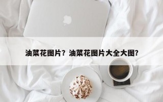 油菜花图片？油菜花图片大全大图？