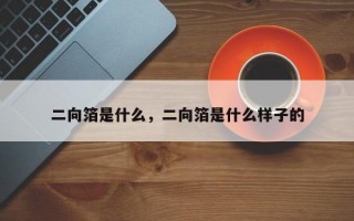 二向箔是什么，二向箔是什么样子的