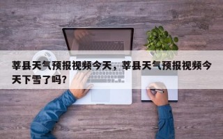 莘县天气预报视频今天，莘县天气预报视频今天下雪了吗？