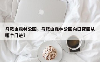 马鞍山森林公园，马鞍山森林公园向日葵园从哪个门进？