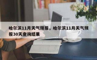 哈尔滨11月天气预报，哈尔滨11月天气预报30天查询结果