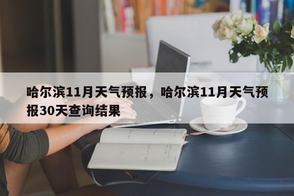 哈尔滨11月天气预报，哈尔滨11月天气预报30天查询结果-第1张图片-1518生活百科