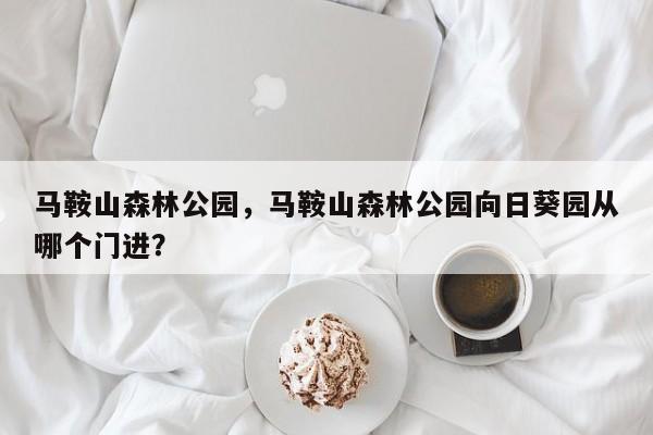 马鞍山森林公园，马鞍山森林公园向日葵园从哪个门进？-第1张图片-1518生活百科